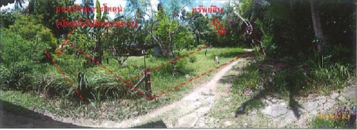 ราไวย์ เมืองภูเก็ต ภูเก็ต