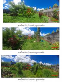 ขายที่ดินเปล่า
